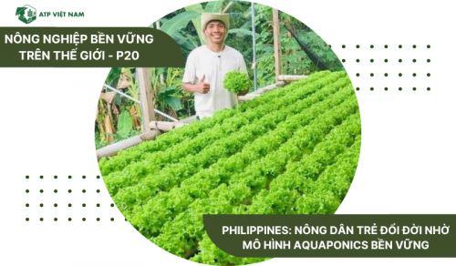 Philippines: Nông dân trẻ đổi đời nhờ mô hình aquaponics bền vững