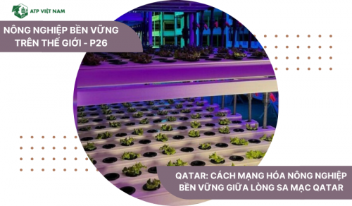 Qatar: Cách mạng hóa nông nghiệp bền vững giữa lòng sa mạc Qatar