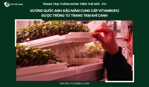 Anh: Ro-Gro ra mắt Đậu mầm tăng cường B12 được trồng từ trang trại thẳng đứng…