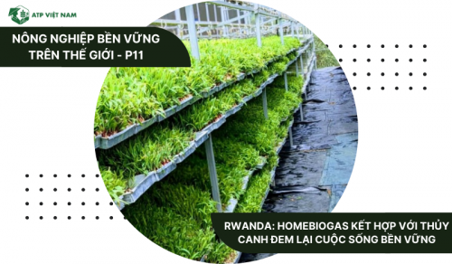 Rwanda: HomeBiogas kết hợp với Thủy Canh đem lại cuộc sống bền vững