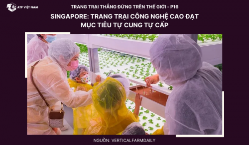Singapore: Trang trại công nghệ cao đạt mục tiêu tự cung tự cấp