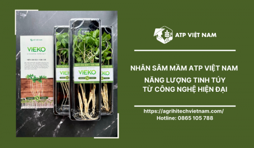 Nhân Sâm Mầm ATP Việt Nam - Năng lượng tinh túy từ công nghệ hiện đại