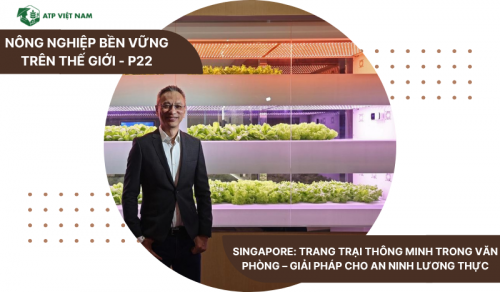 Singapore: Trang trại thông minh trong văn phòng – Giải pháp cho an ninh lương thực