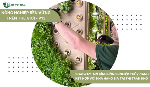 Skagway: Mô Hình Nông Nghiệp Thủy Canh Kết Hợp Với Nhà Hàng Bia Tại Thị Trấn Nhỏ