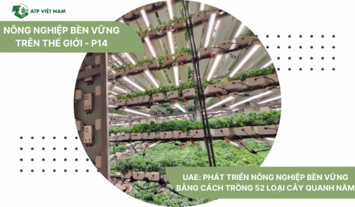 UAE: Phát Triển Nông Nghiệp Bền Vững Bằng Cách Trồng 52 Loại Cây Quanh Năm