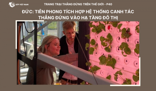 Đức: Tiên phong tích hợp hệ thống canh tác thẳng đứng vào hạ tầng đô thị