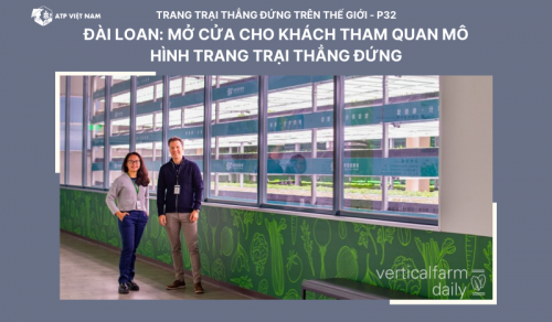 Đài Loan: Mở cửa cho khách tham quan mô hình trang trại thẳng đứng