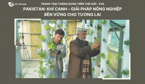 Pakistan: Khí Canh – Giải Pháp Nông Nghiệp Bền Vững Cho Tương Lai
