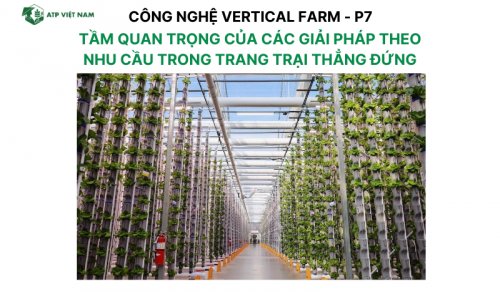 Tầm quan trọng của các giải pháp theo nhu cầu trong trang trại thẳng đứng