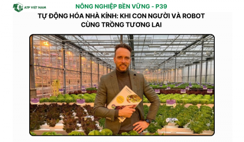 Tự động hóa nhà kính: Khi con người và robot cùng trồng tương lai