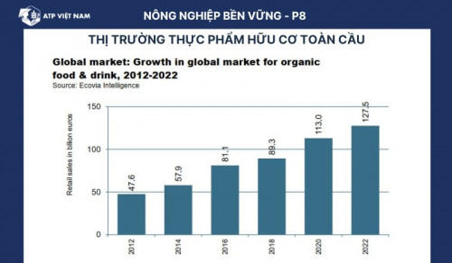 Thị trường toàn cầu về thực phẩm và đồ uống hữu cơ