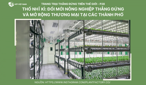Thổ Nhĩ Kì: Đổi Mới Nông Nghiệp Thẳng Đứng và Mở Rộng Thương Mại Tại Các…