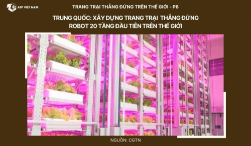 Trung Quốc: Xây dựng trang trại thẳng đứng robot 20 tầng đầu tiên trên thế giới