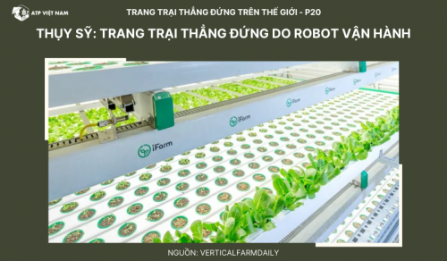 Thuỵ Sỹ: Trang trại thẳng đứng do robot vận hành