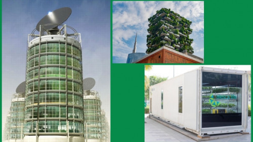 Các loại hình trang trại thẳng đứng