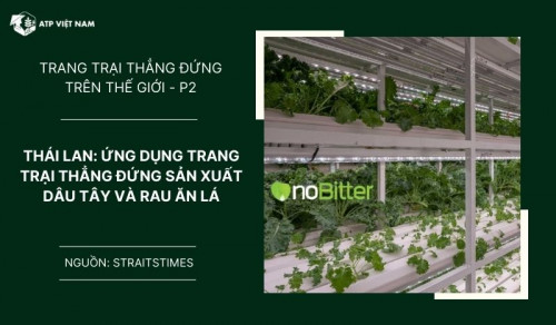 Thái Lan: Phát triển trang trại thẳng đứng trong đô thị