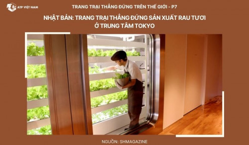 Nhật Bản: Trang trại thẳng đứng sản xuất rau tươi tại trung tâm Tokyo