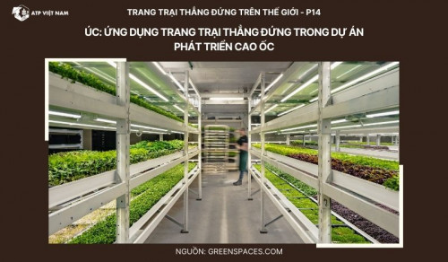 Úc: Ứng dụng trang trại thẳng đứng trong cao ốc Southbank