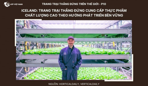 Iceland: Trang trại thẳng đứng cung cấp thực phẩm chất lượng cao theo hướng phát…